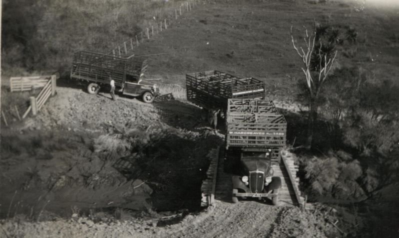 3-trucks.jpg