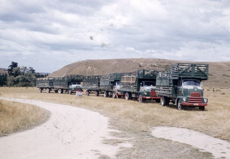 4-stock-trucks-1.jpg