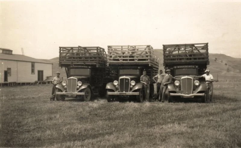 3-federals.jpg