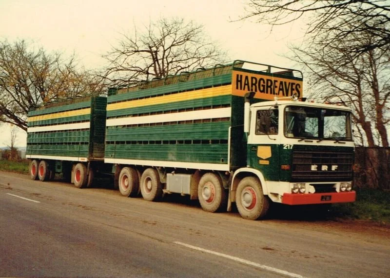 217.jpg