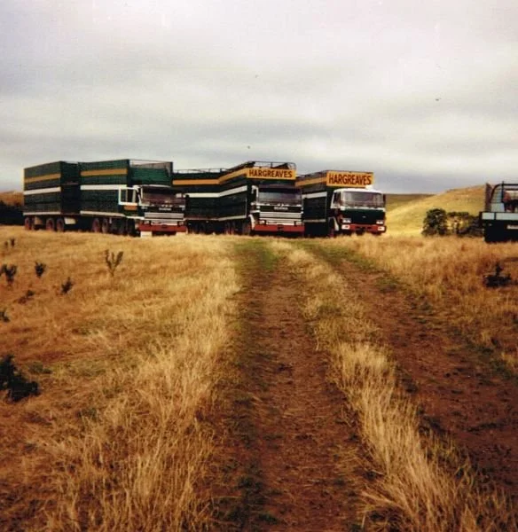 Harg-Tran-16.jpg