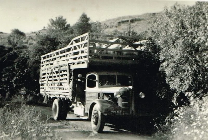 Stock-truck.jpg