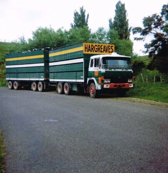 209-side-of-road.jpg