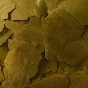Kelp-Flake-Square-300x300.jpg