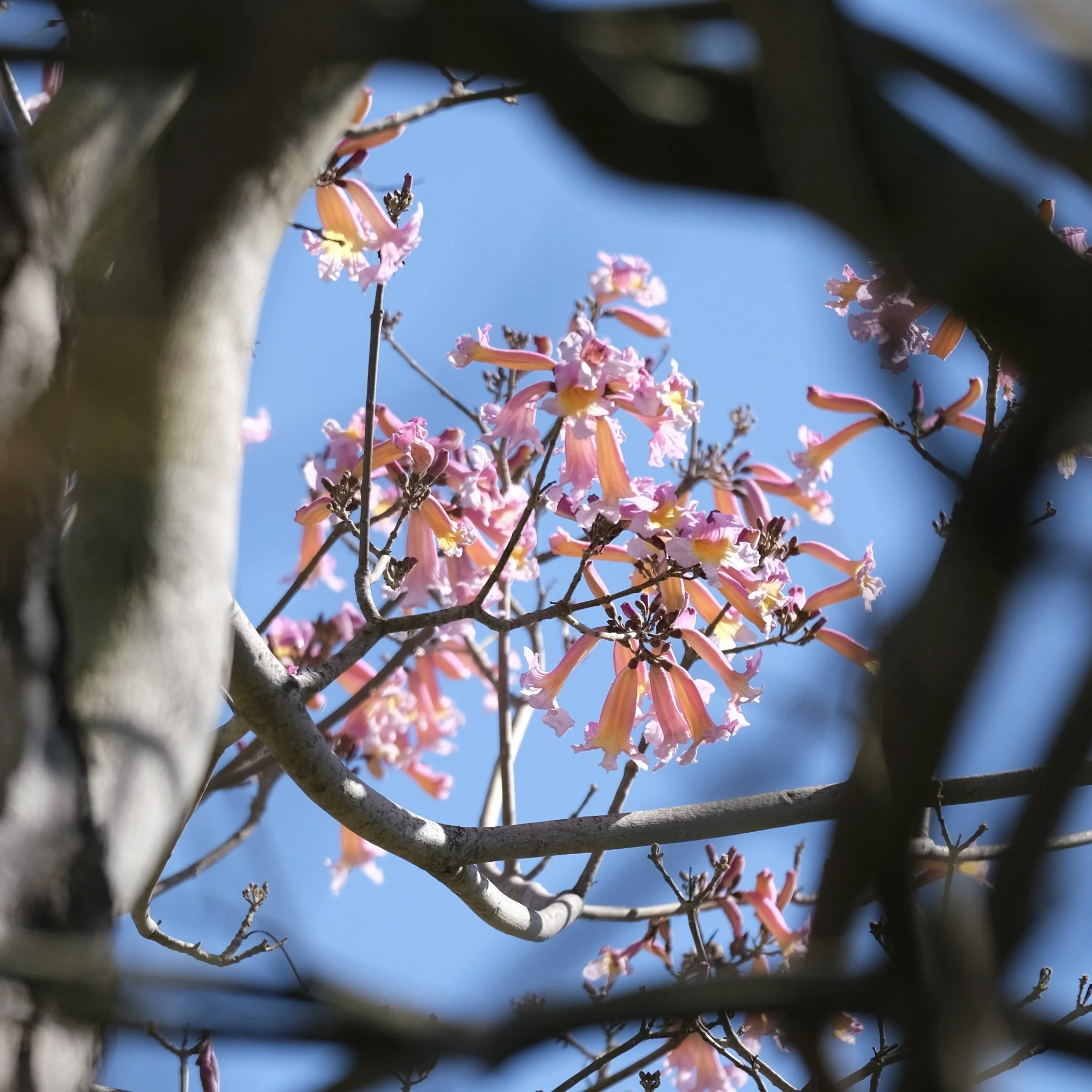 DSCF0741.JPG