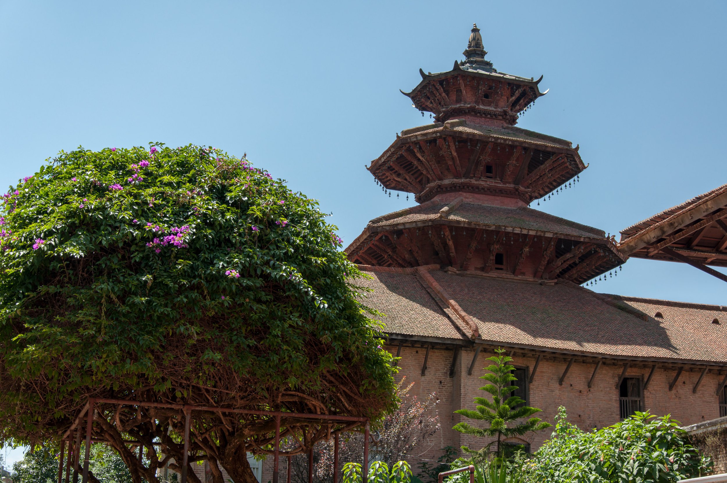 DSC_3527-Verbessert-SR.jpg
