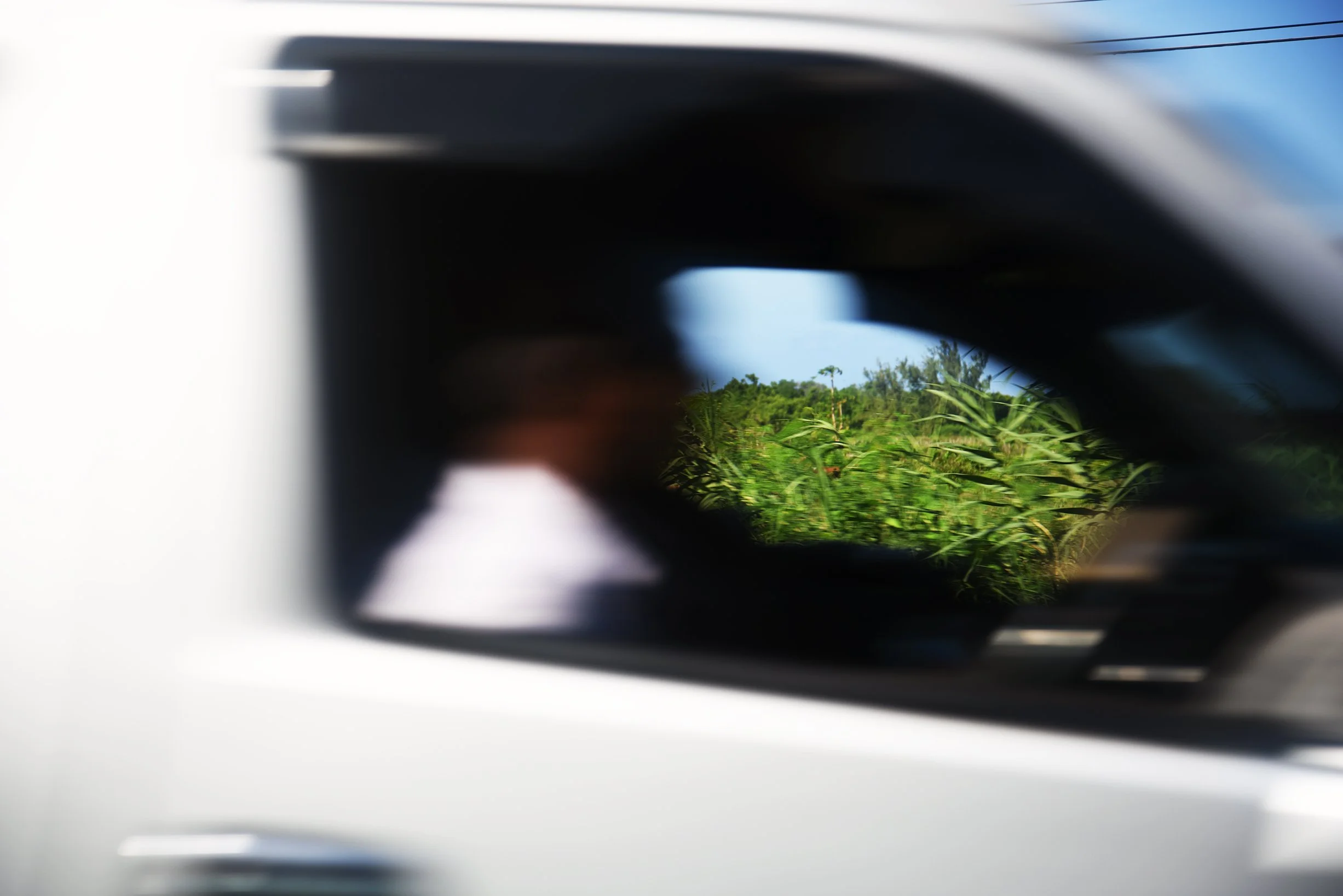 Jamaica Land We Love