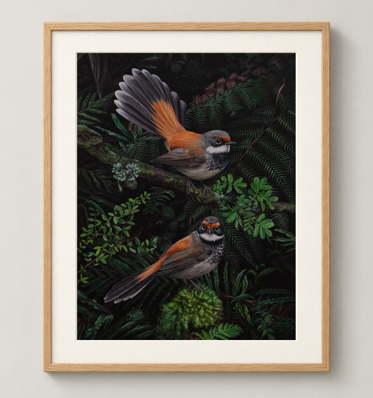 Rufous-Fantails-Oak.png