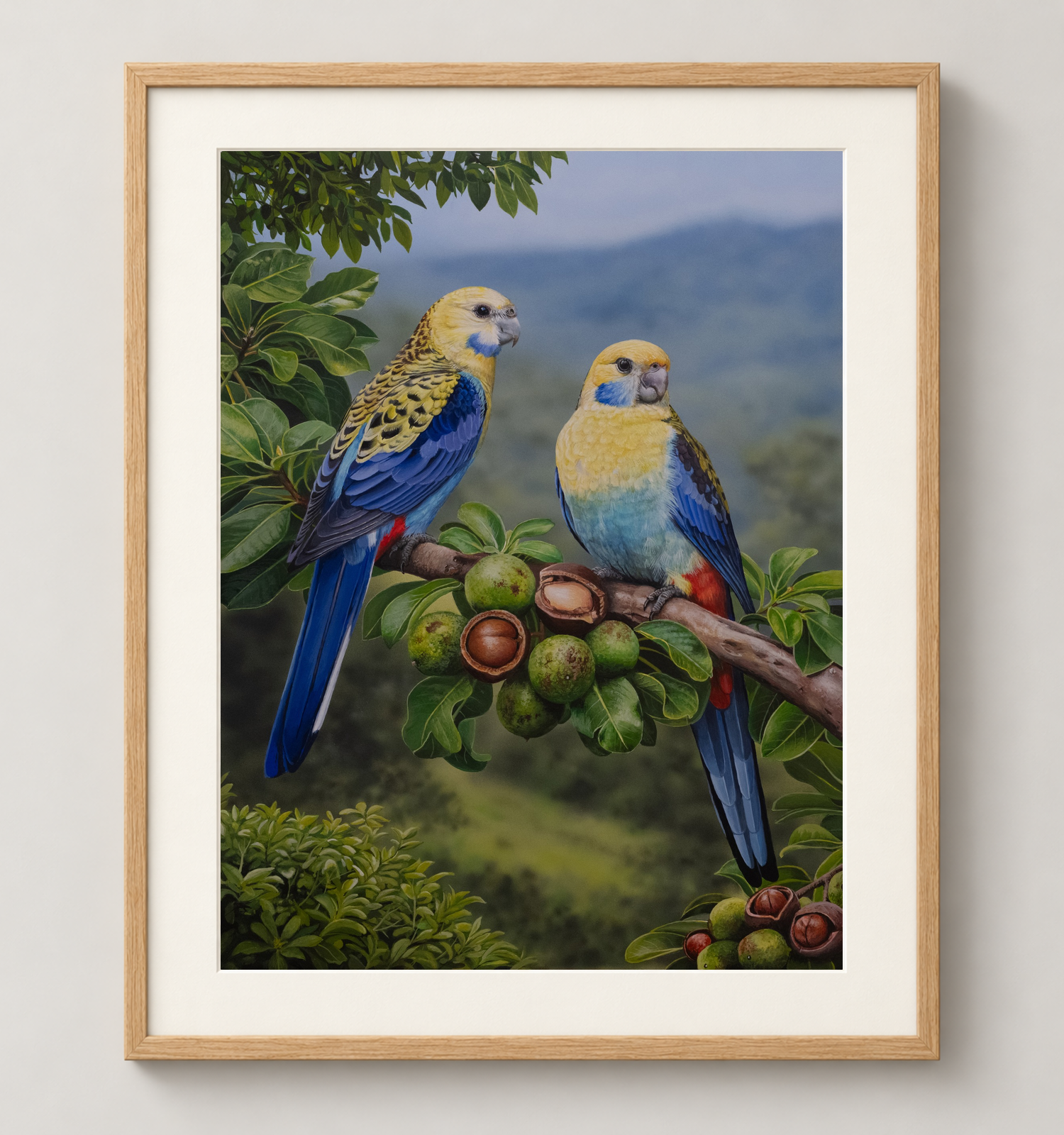 Pale-Headed-Rosella-Oak.png