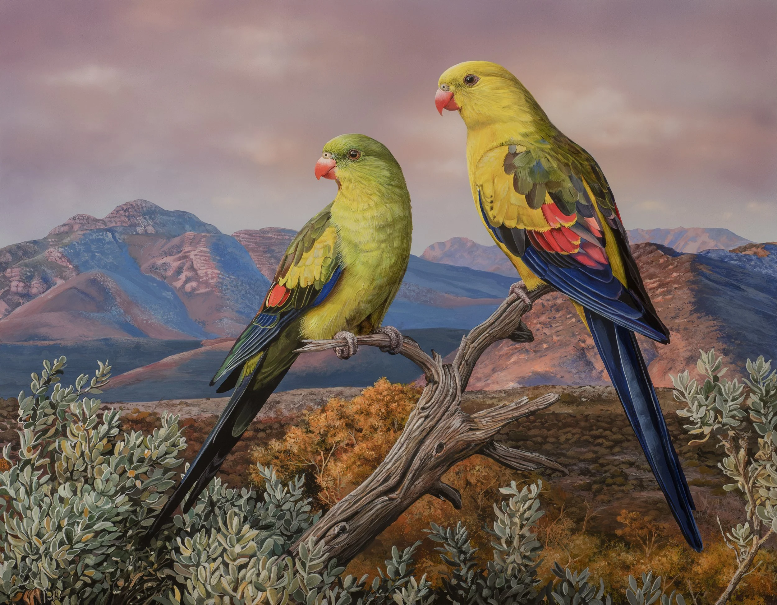 REGENTS OF THE RANGES  I   Acrylic on Board
20 x 16"  Available at www.morpethgallery.com