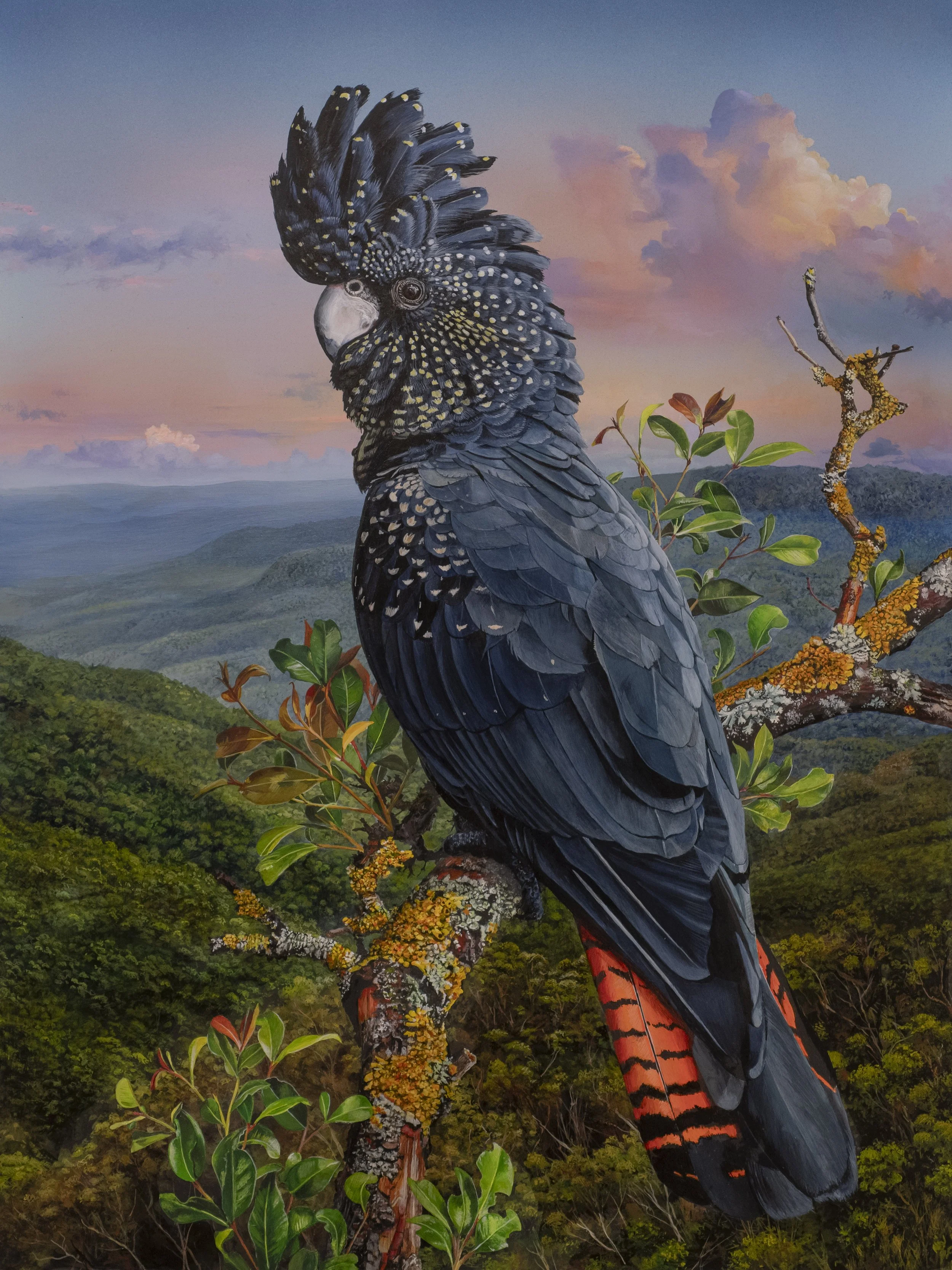 RED-TAILED BLACK-COCKATOOƒ MASTER copy.jpg