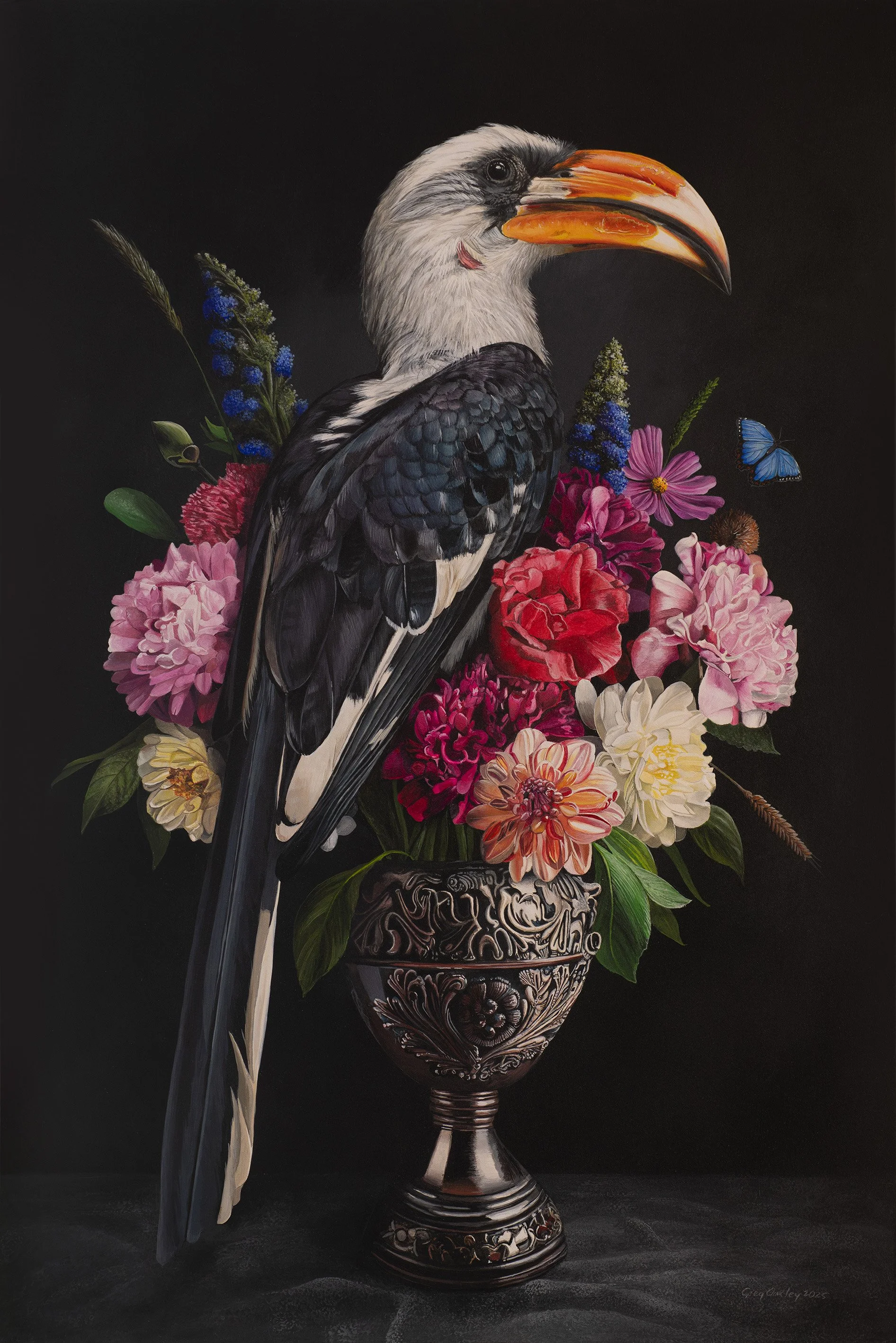 Von Der Decken's Hornbill - Original Painting