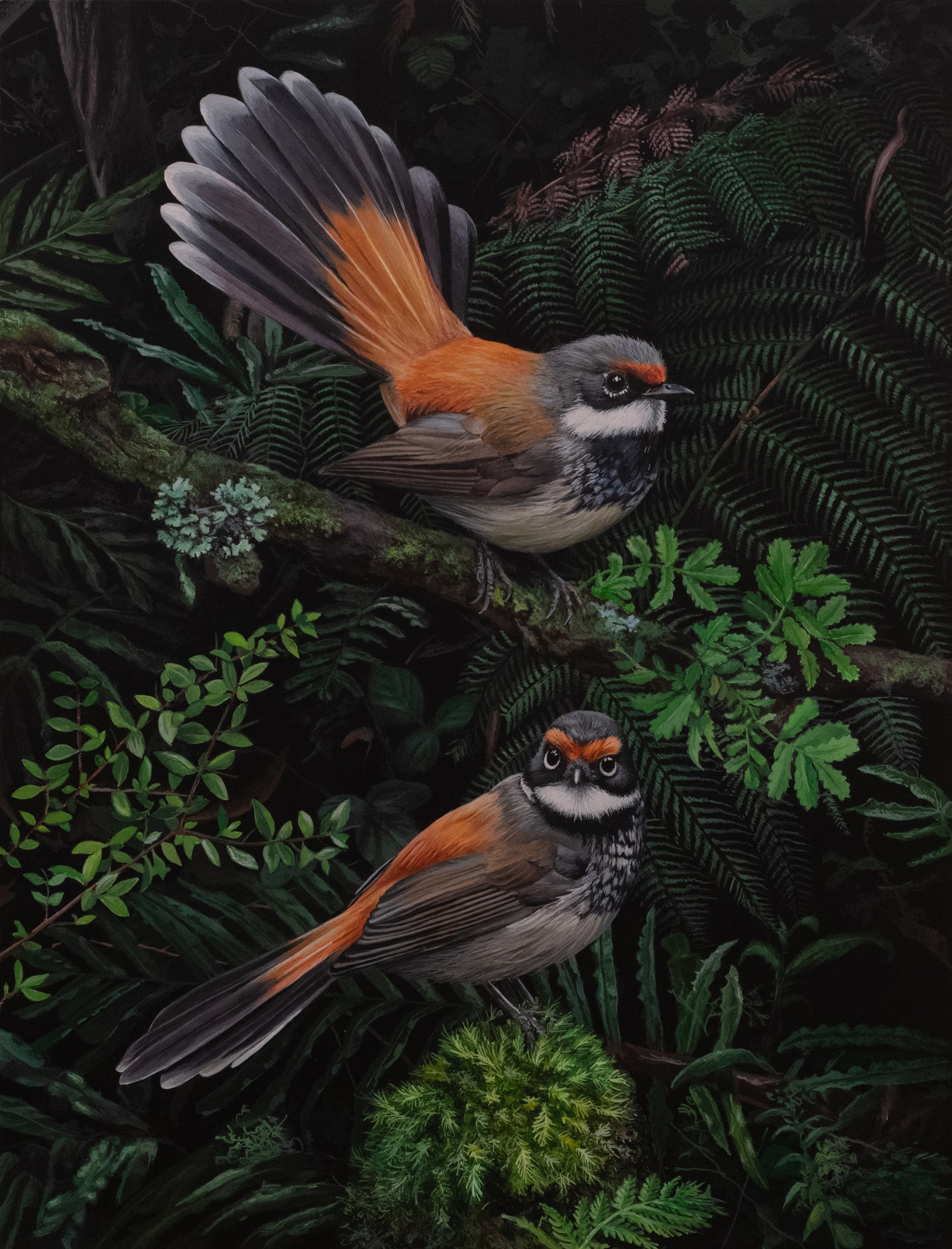 RUFOUS FANTAILS 228X306MM copy.jpg