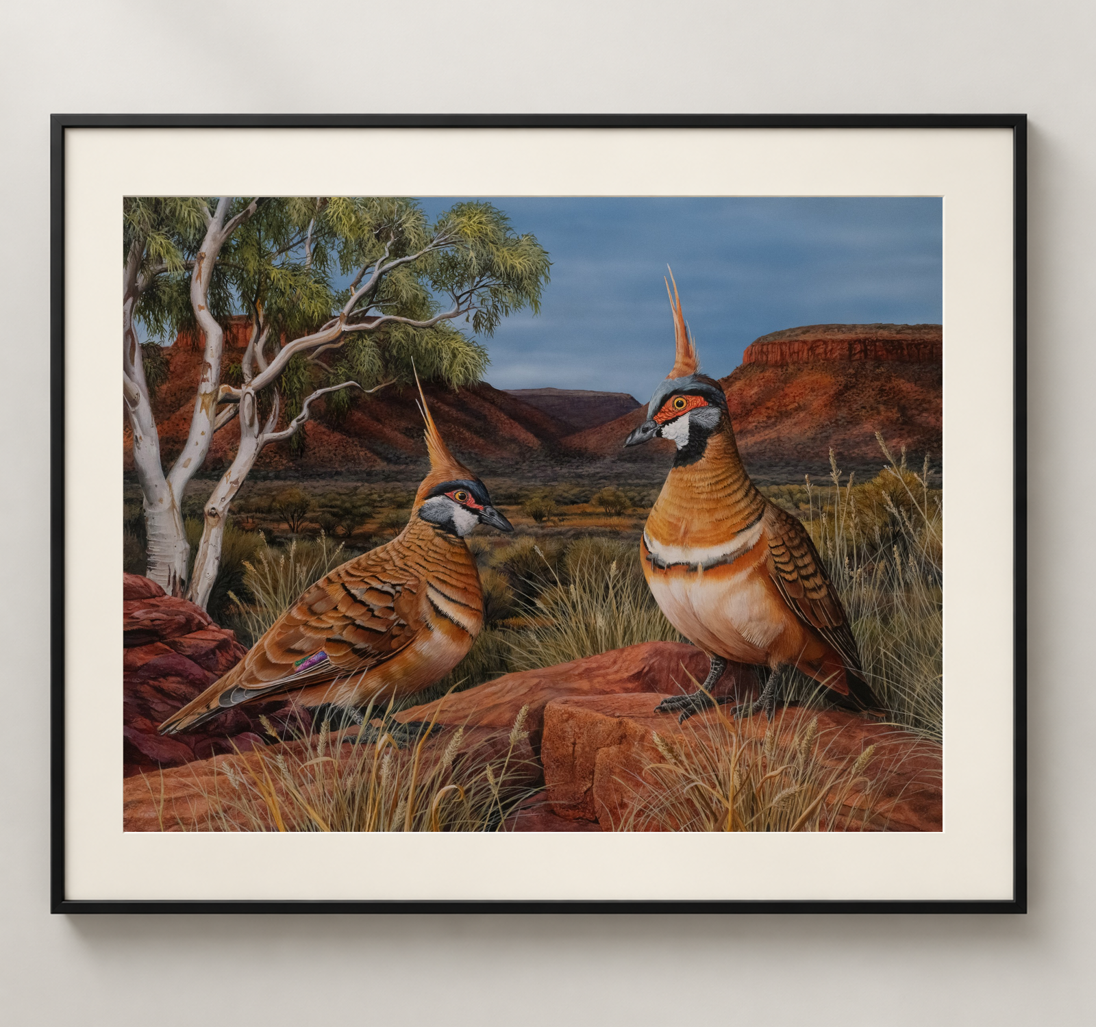 Spinifex-Pigeons-Black.png