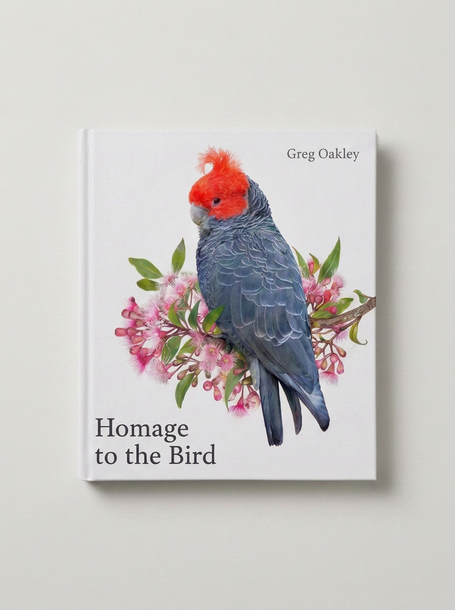 Homage to the Bird