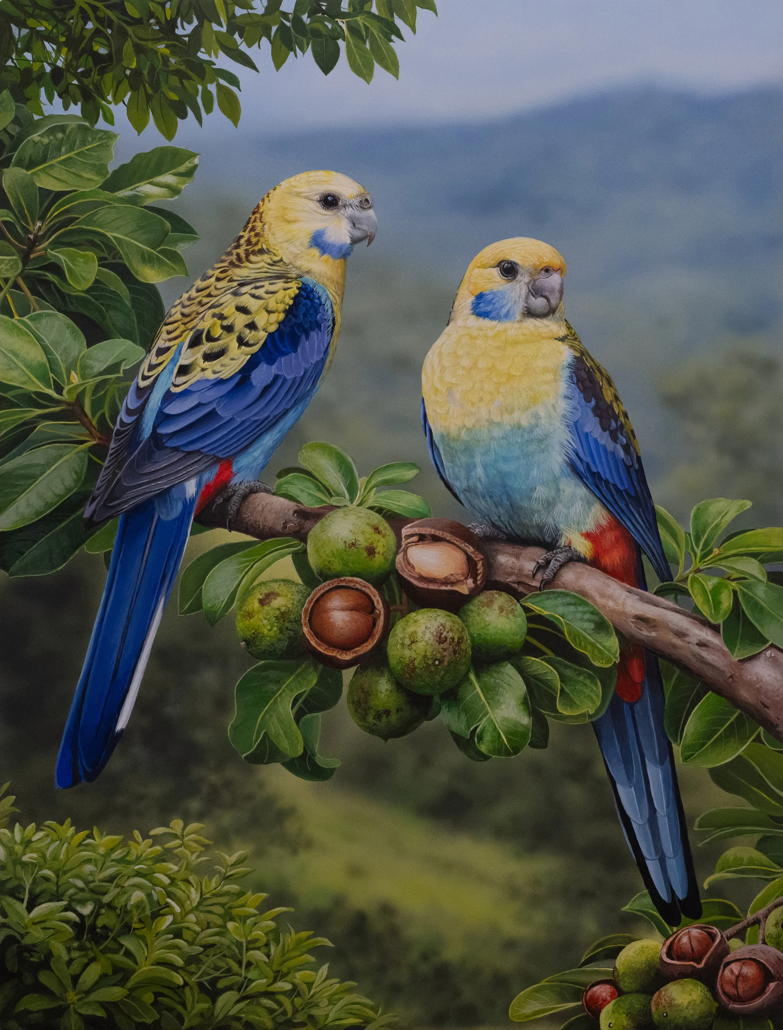 PALE-HEADED ROSELLA 304x407mm copy.jpg