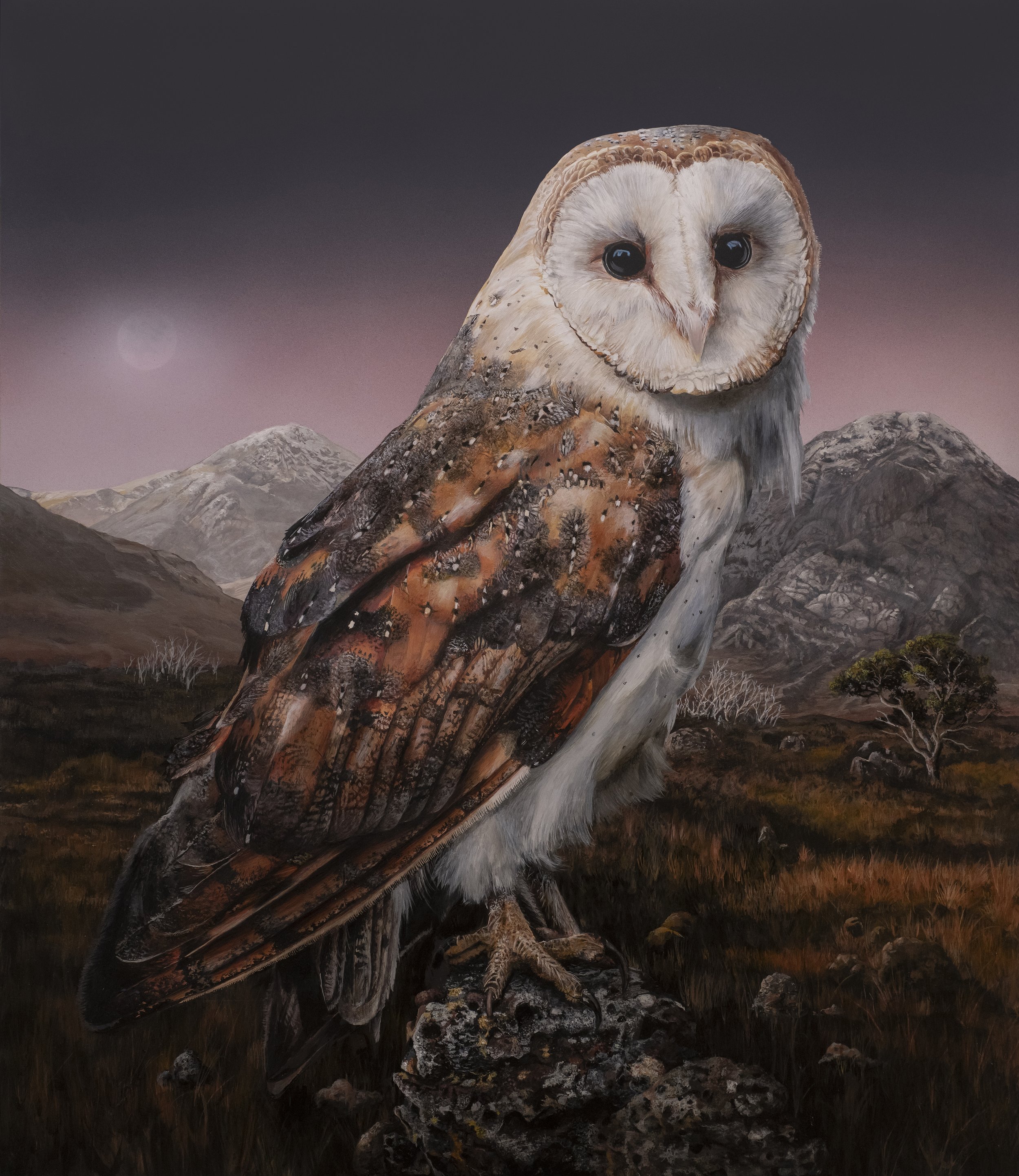 THE QUIET WATCH – BARN OWL  I  Acrylic on Board
24 x 24"
CONTACT ME