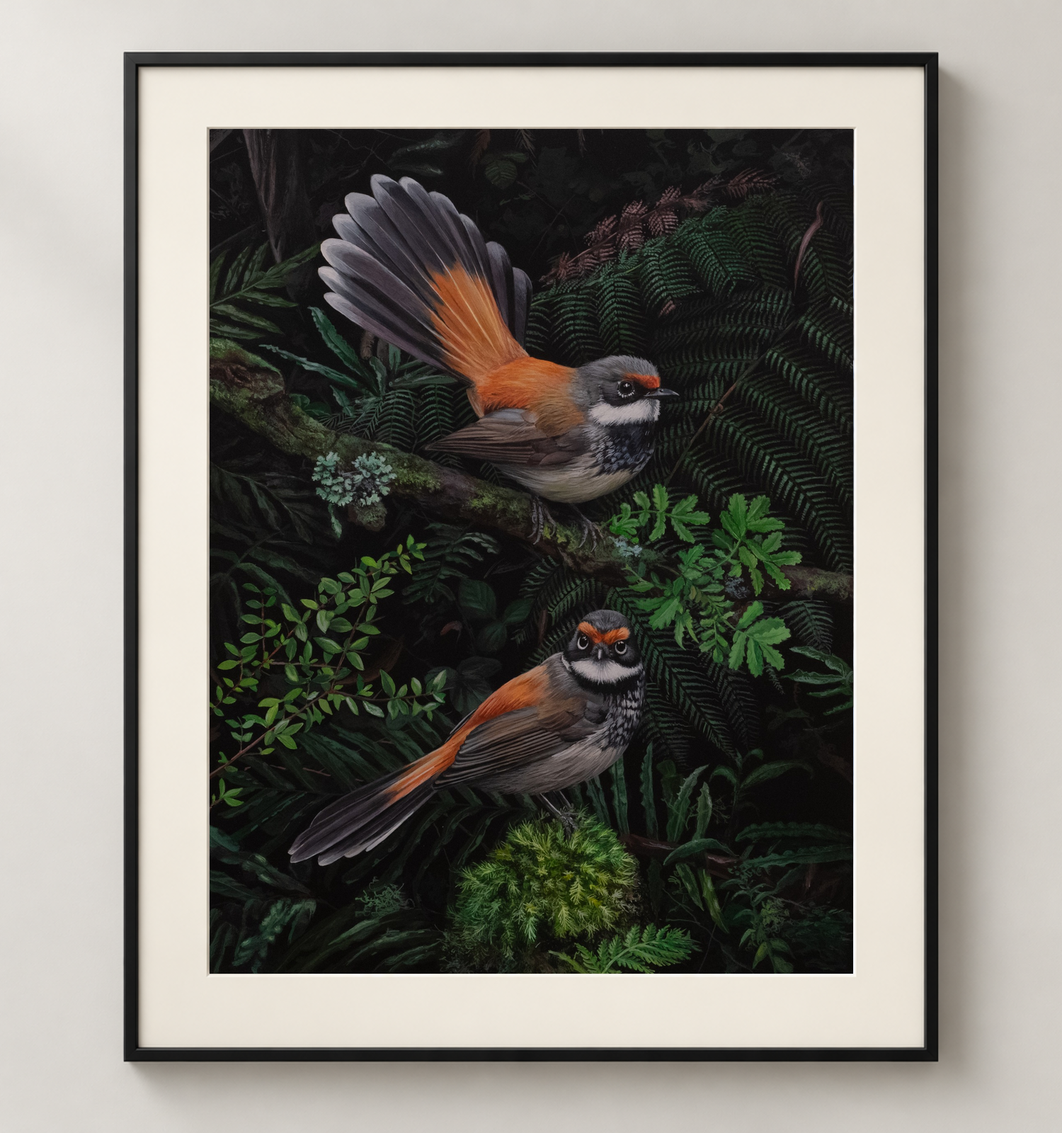 Rufous-Fantails-Black.png