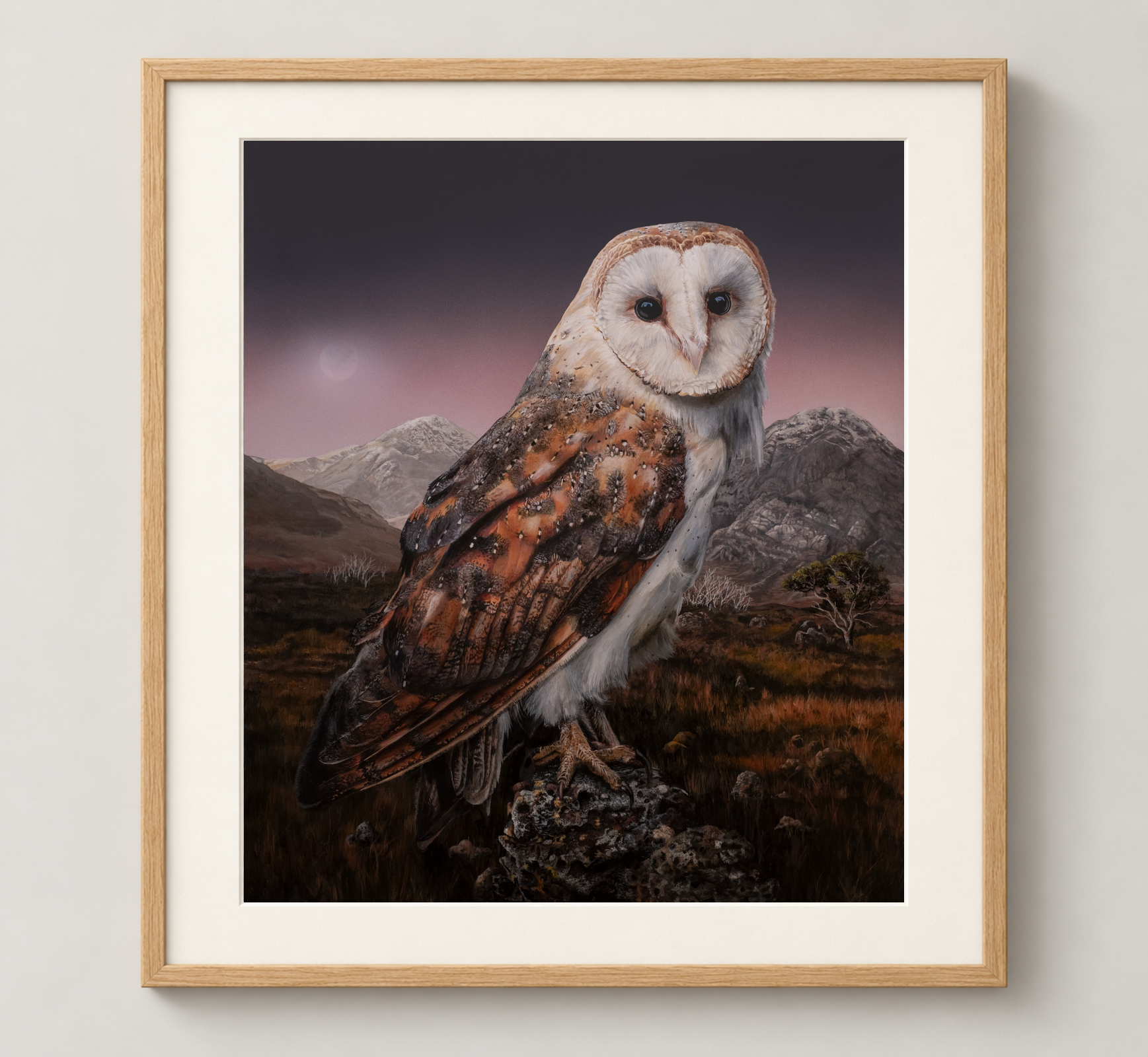 Barn-Owl-Oak.png