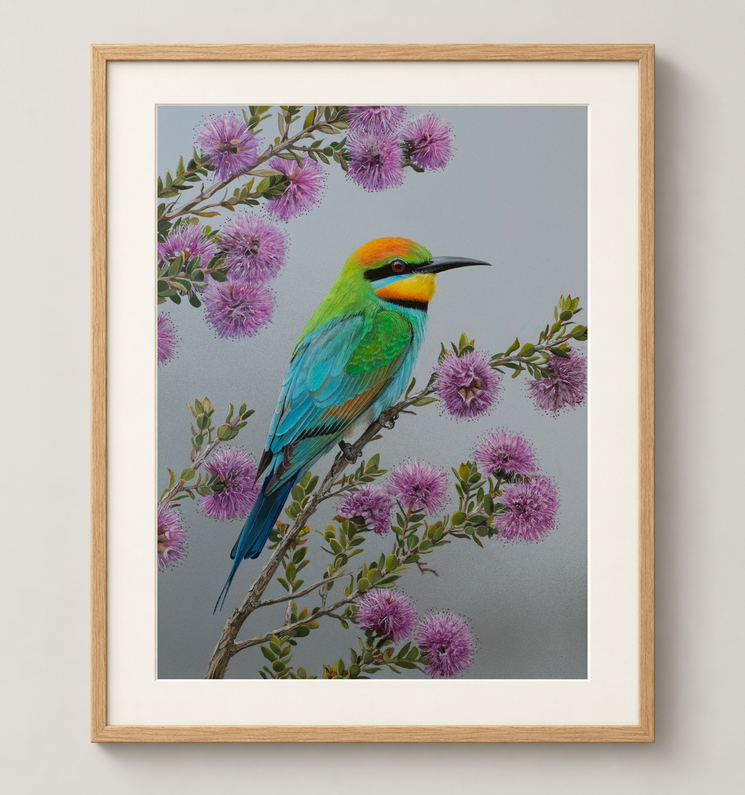 Rainbow-Bee-Eater-Oak.png