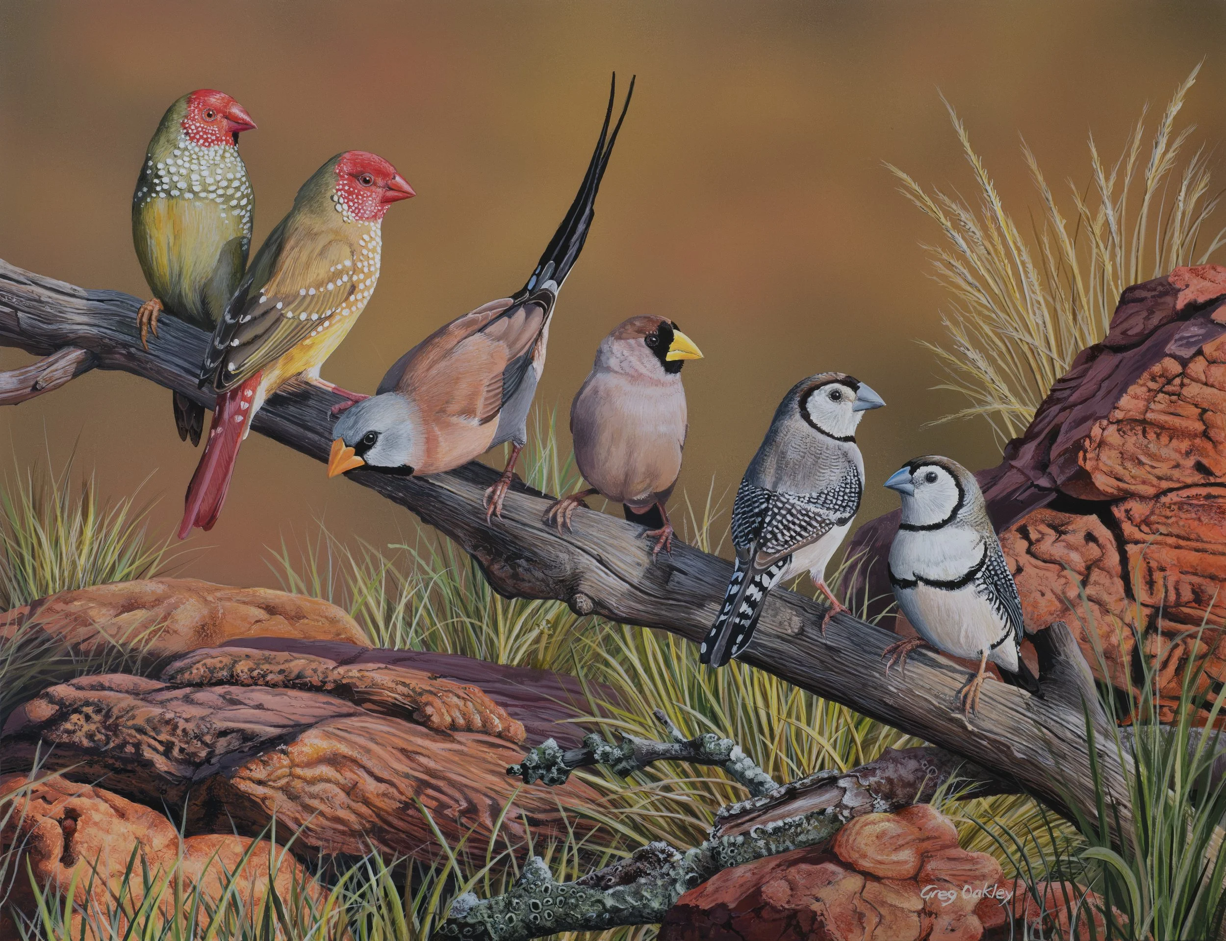 FINCH COUNTRY  I  Acrylic on Board
16 x 12"
Available at www.morpethgallery.com