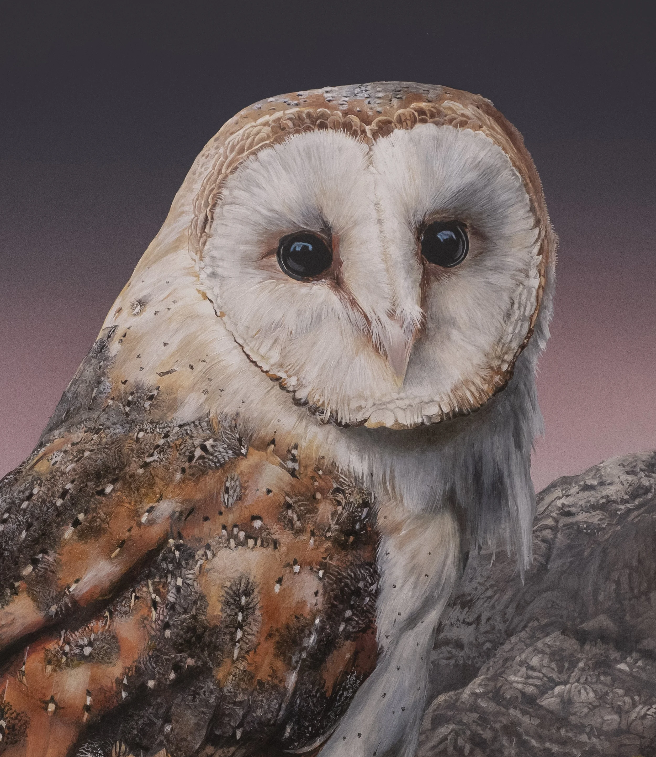 BARN OWL MASTERƒ copy 3B.jpg