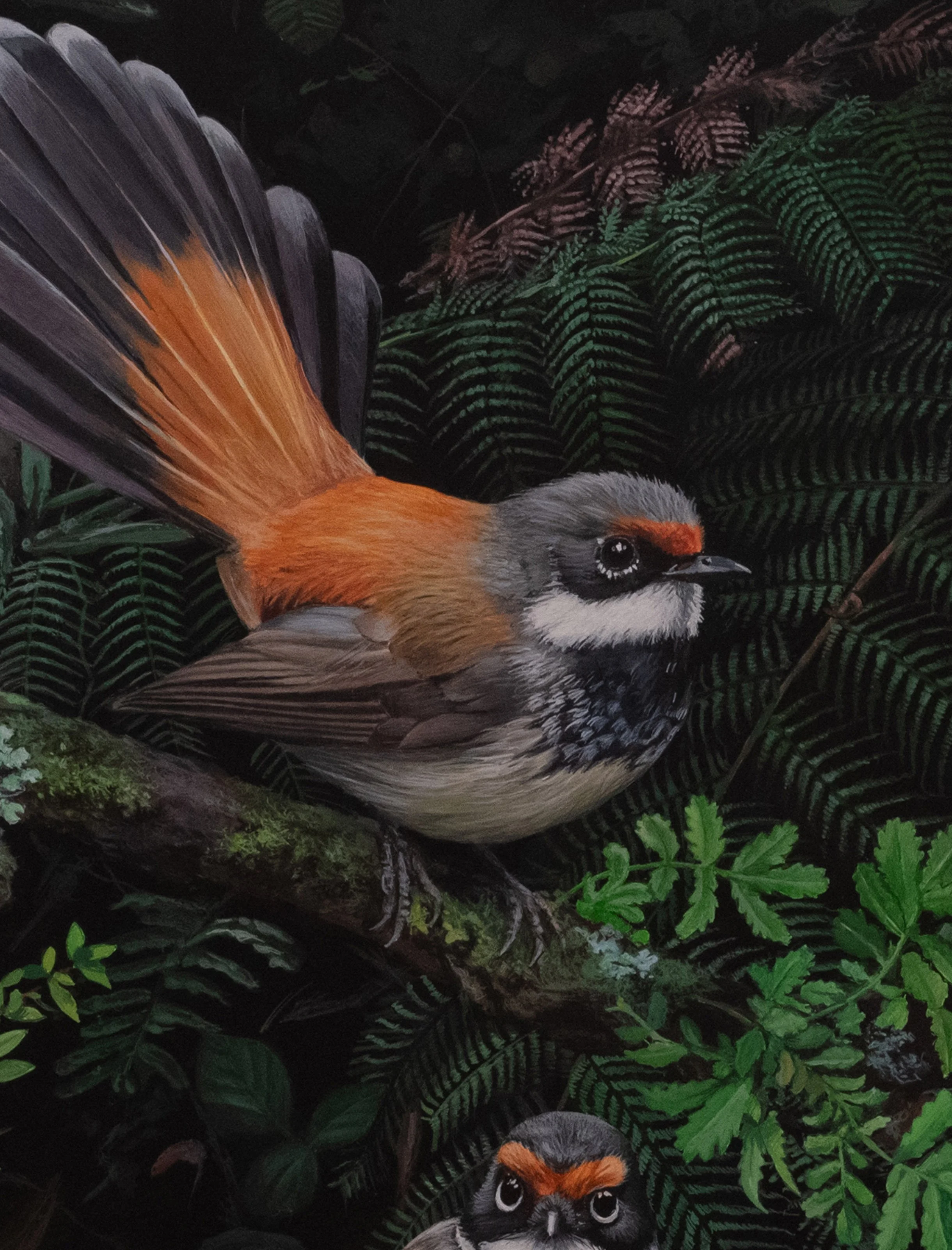 RUFOUS FANTAILS 228X306MM copy 2A.jpg