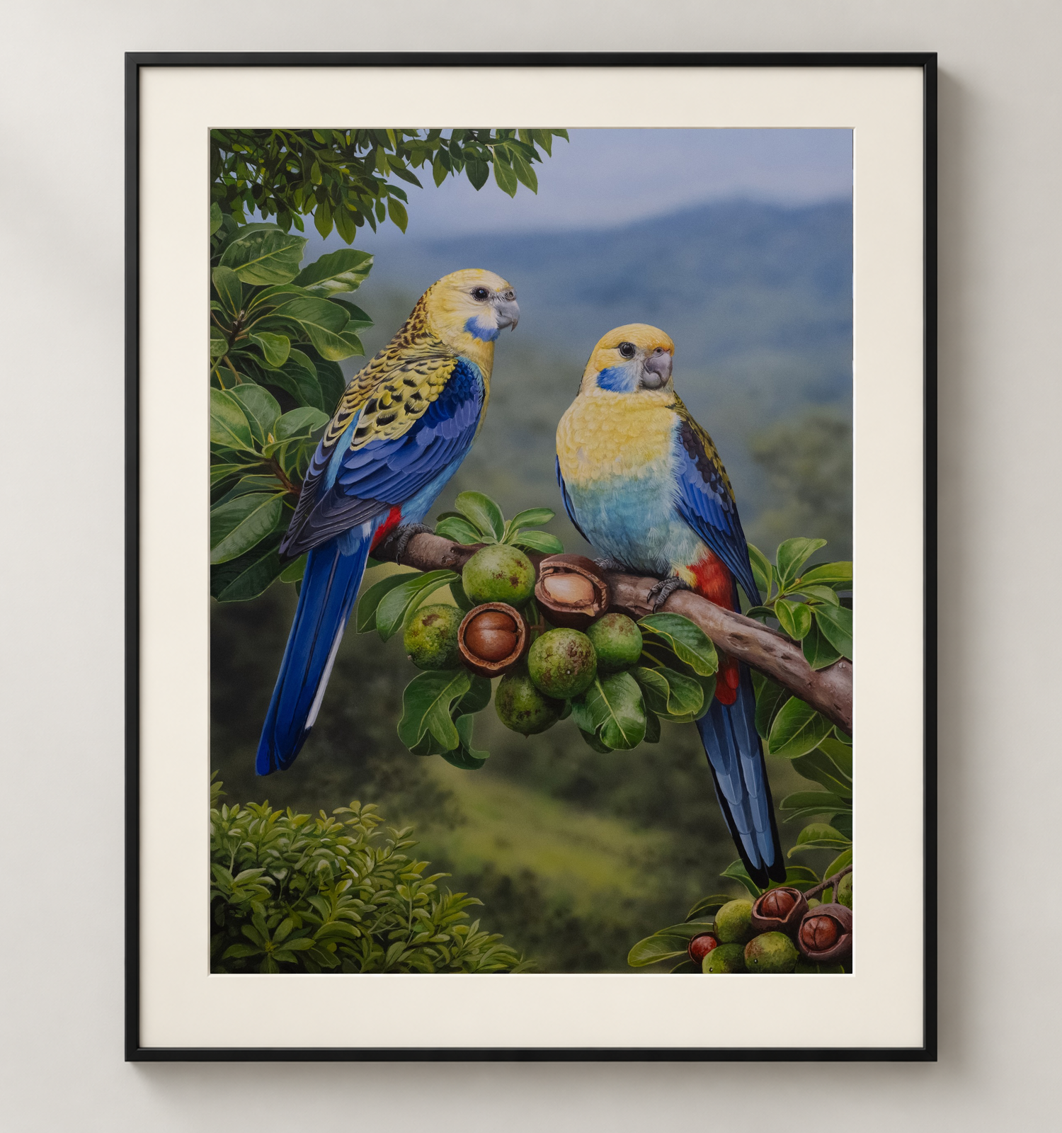 Pale-Headed-Rosella-Black.png