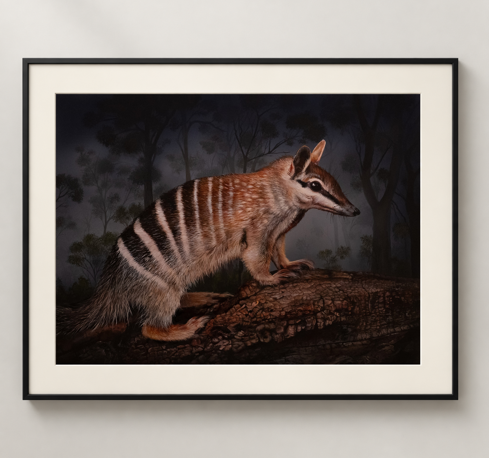 Numbat-Black.png