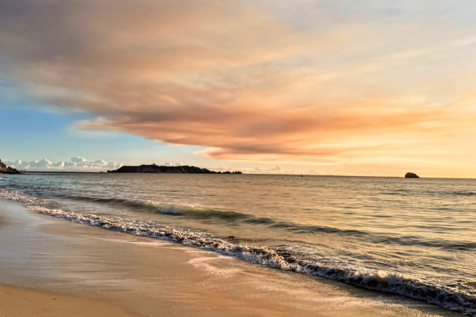 NAATI-Certified Translations: What You Need to Know