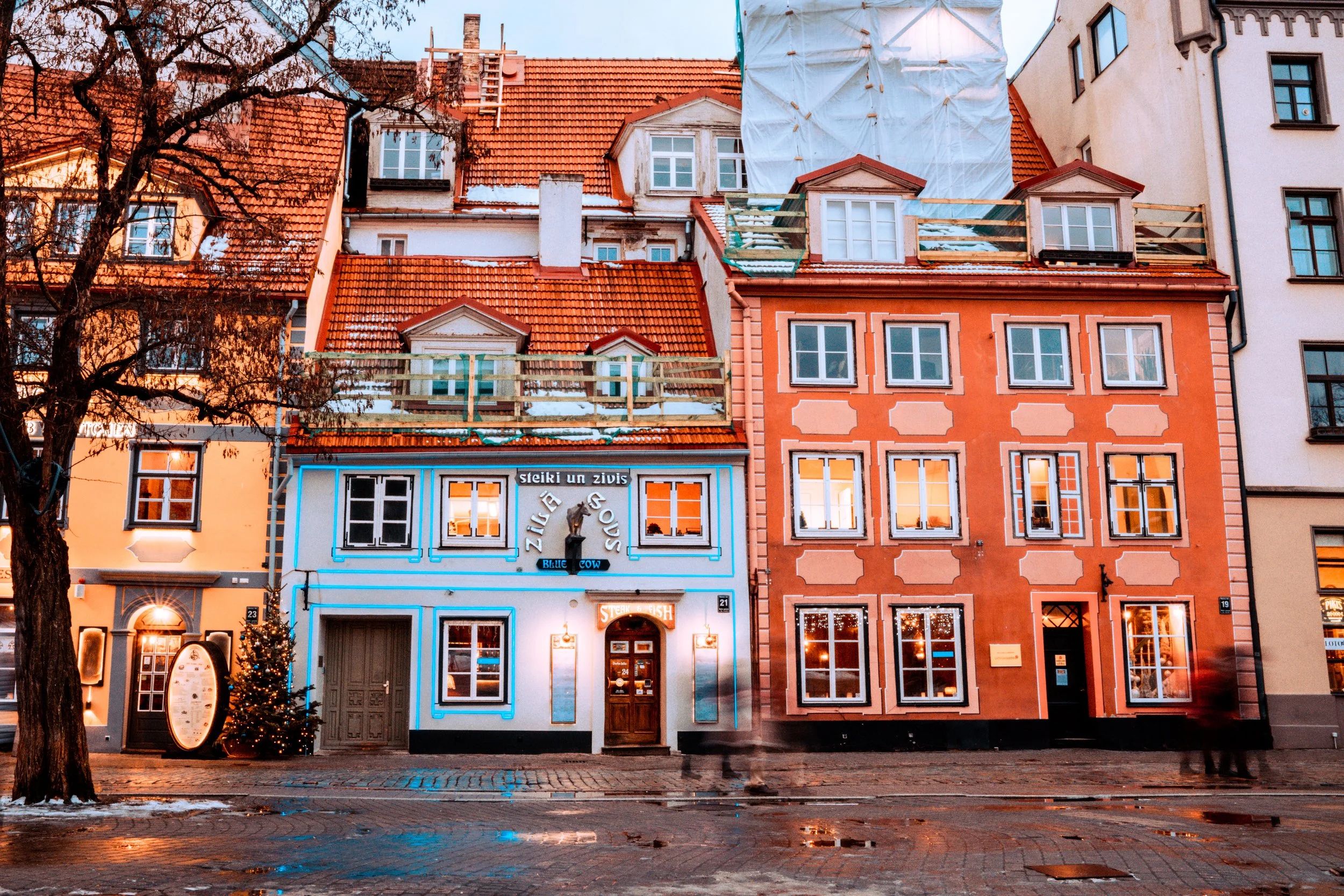 AdobeStock_240671967.jpeg