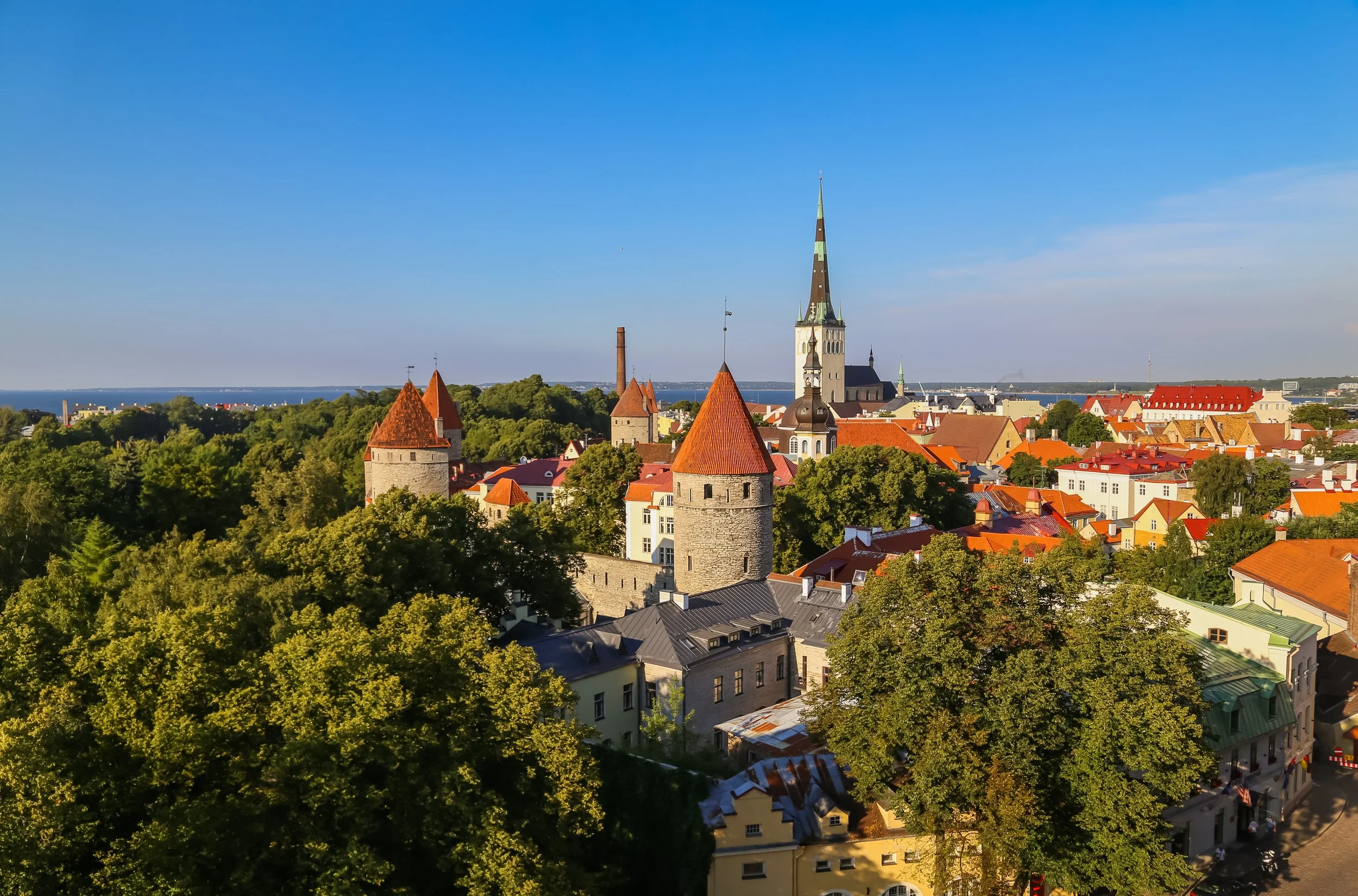AdobeStock_391279155.jpeg