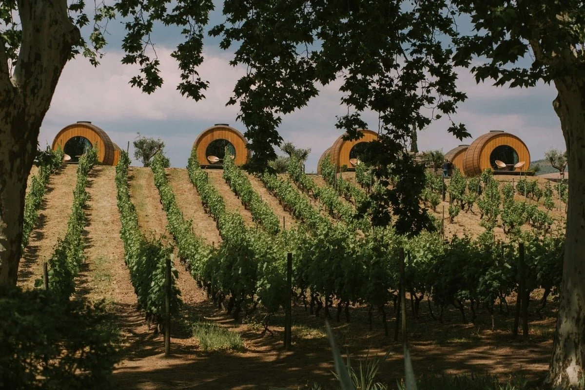 Quinta-da-Pacheca-Wins-at-The-Best-of-Wine-Tourism-Awards-2020-5.jpg