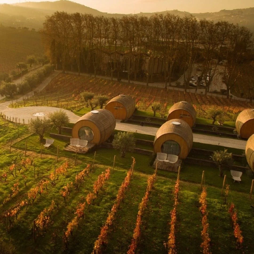 WINE SERIES: DOURO VALLEY, PORTUGAL