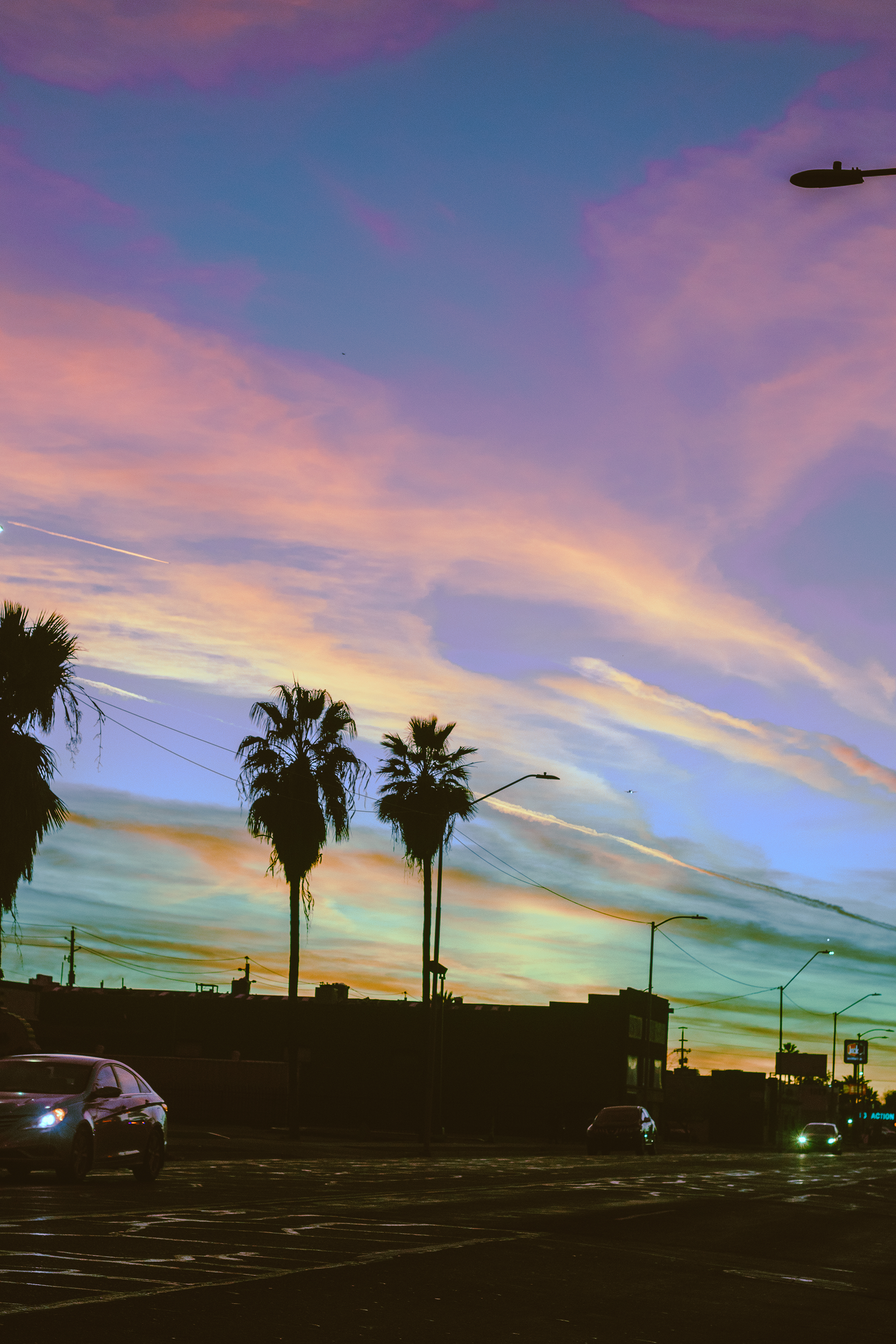 IMG_0173.png