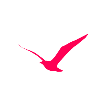Silhouette of a bird in flight with wings spread, pink in color, on a black background.