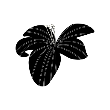 Close-up of sewing pins on a black background.
