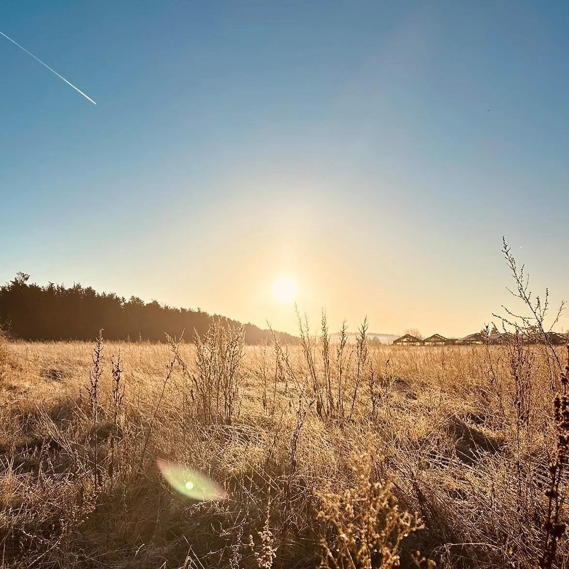 Frosty mornings at the yard! - There&rsquo;s been a few of these recently! 

📸 Stunning photo - credit to The Boss!

*************************************
Get in touch - we love to chat all things landscaping!
📞: 01483 417544 / 07590 015682
✉️:info