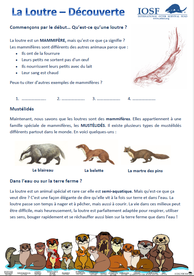 Education Pack - French Cover.PNG