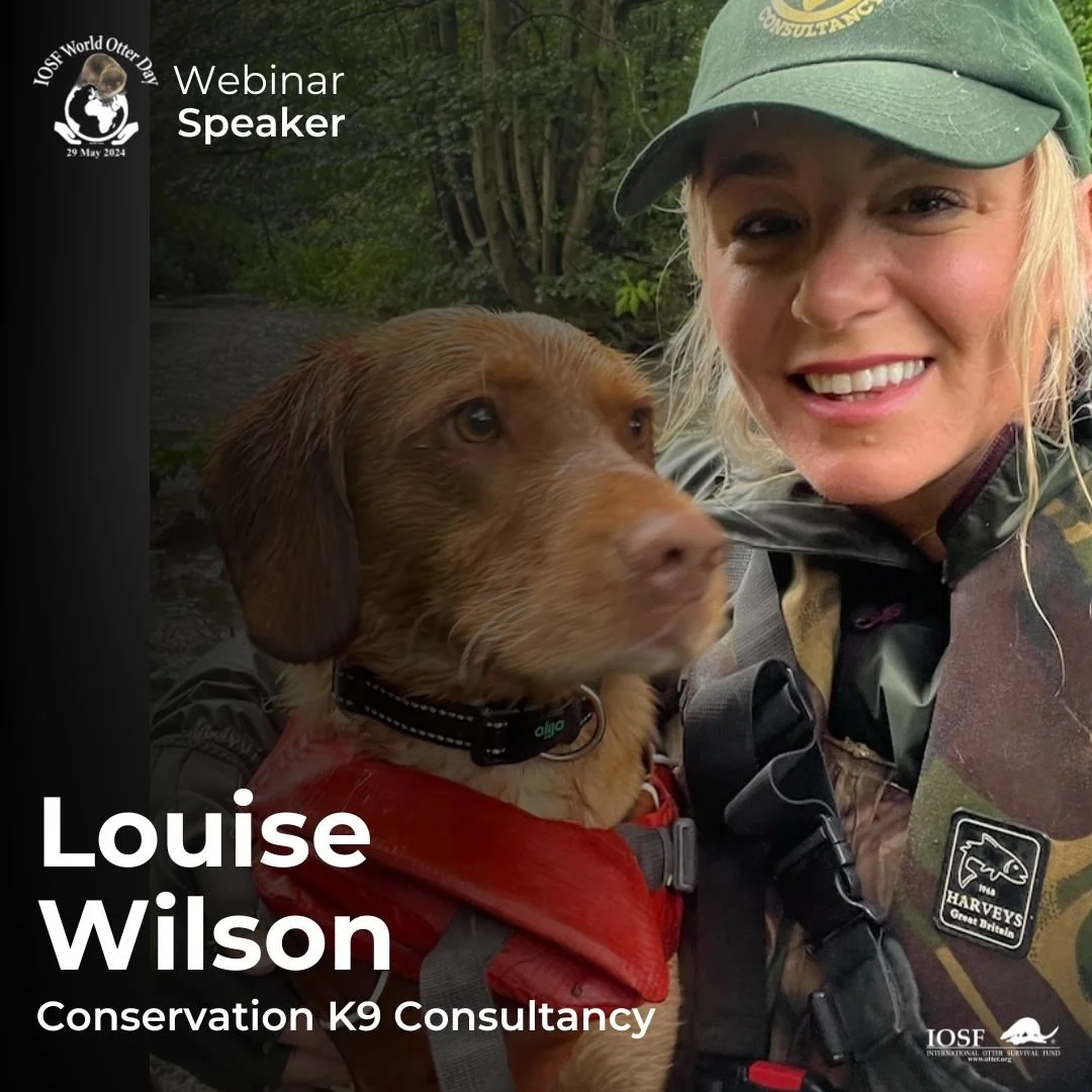 Our Work - World Otter Day — International Otter Survival Fund