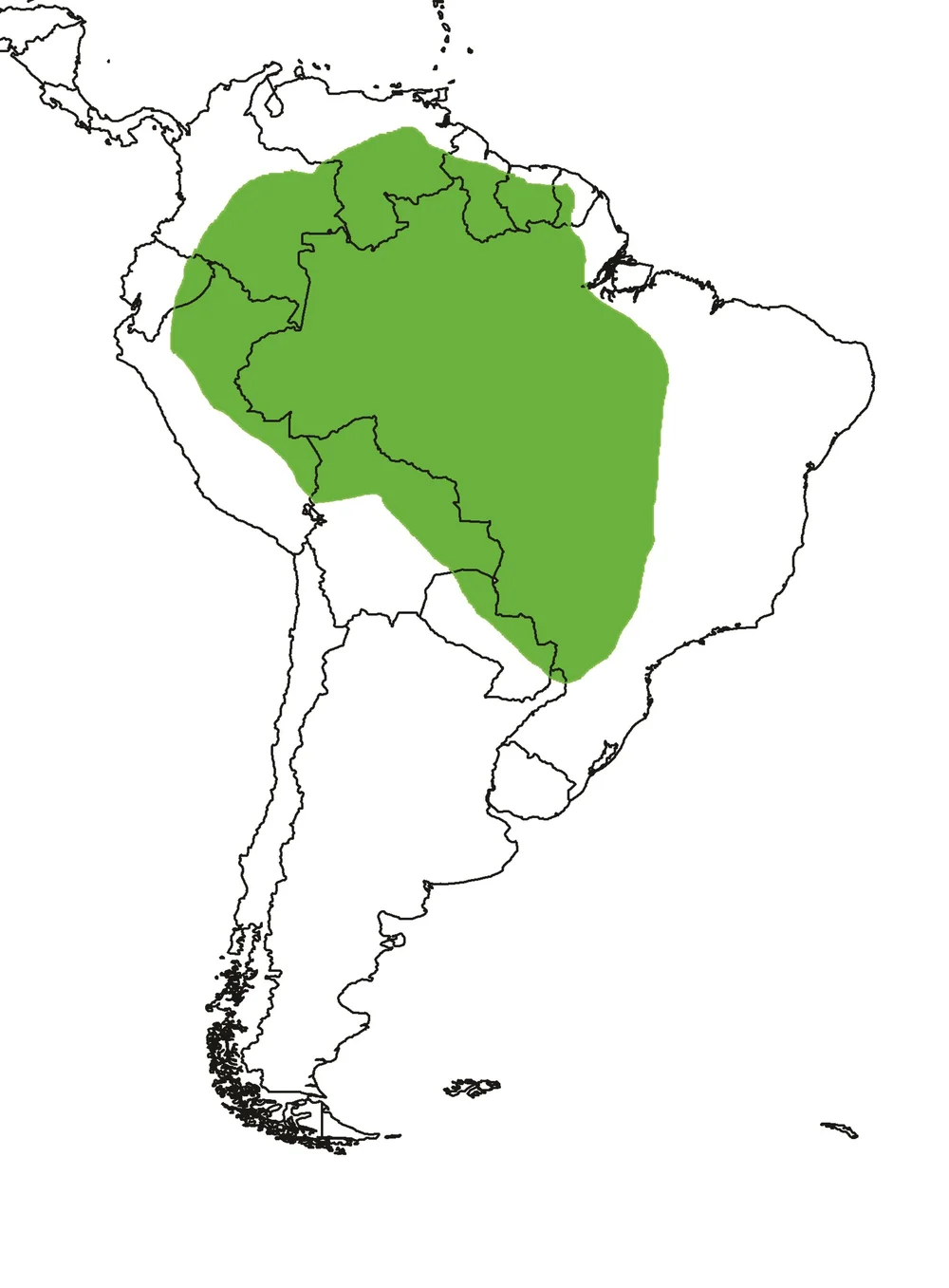 Giant Otter — International Otter Survival Fund