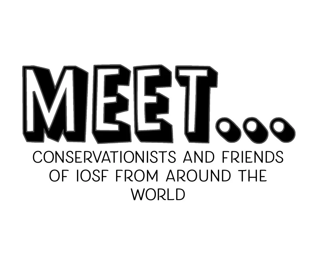 Otter intelligence overview