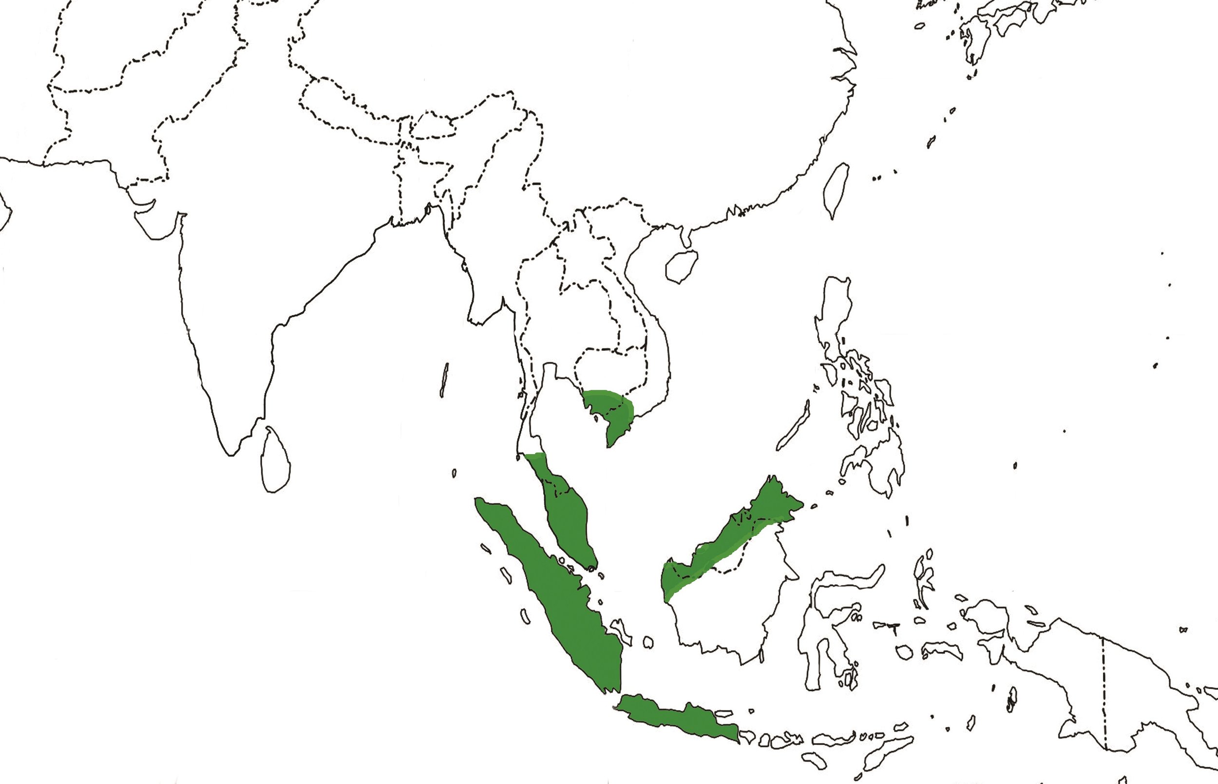 Hairy nosed otter — International Otter Survival Fund