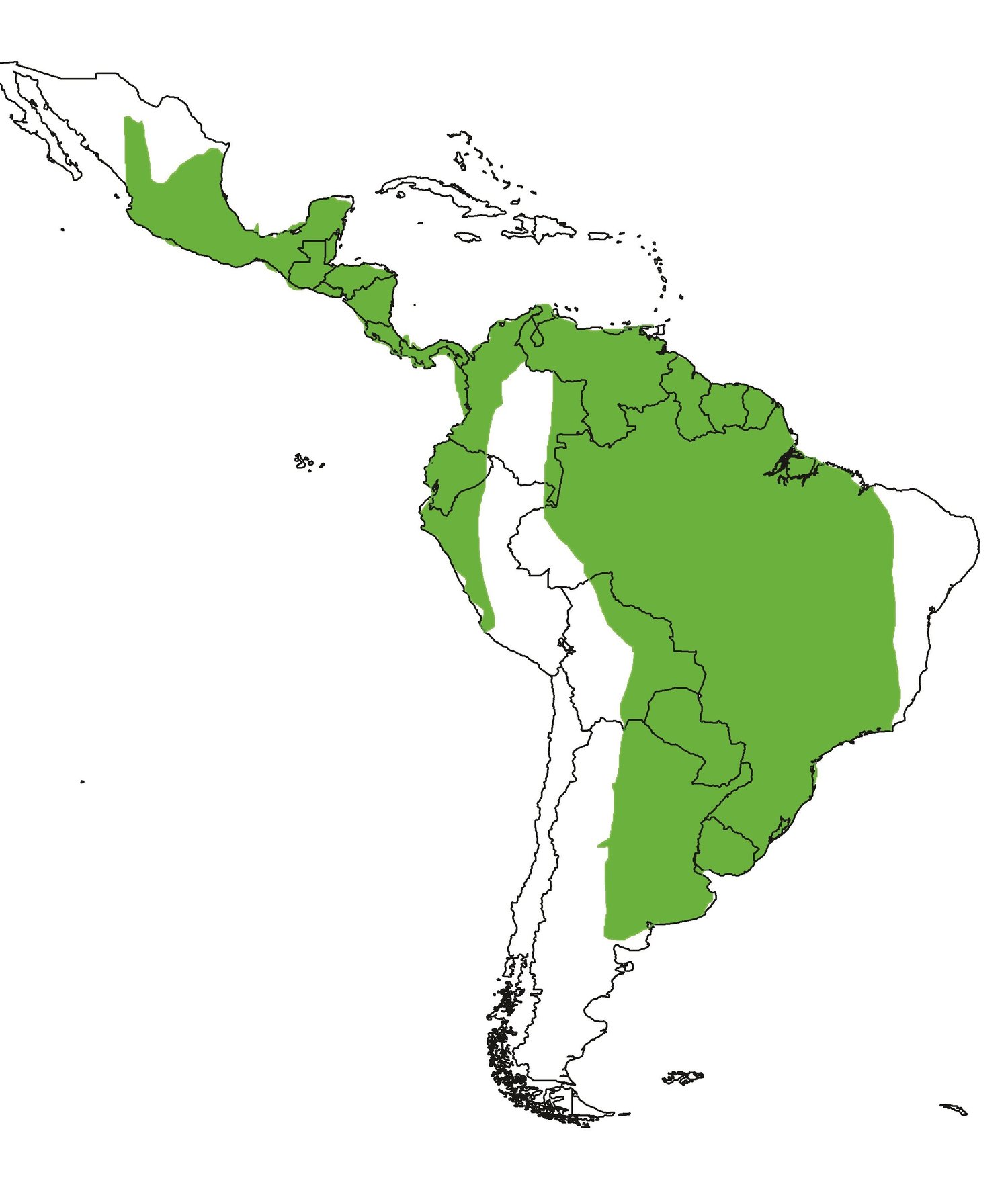 Neotropical Otter — International Otter Survival Fund