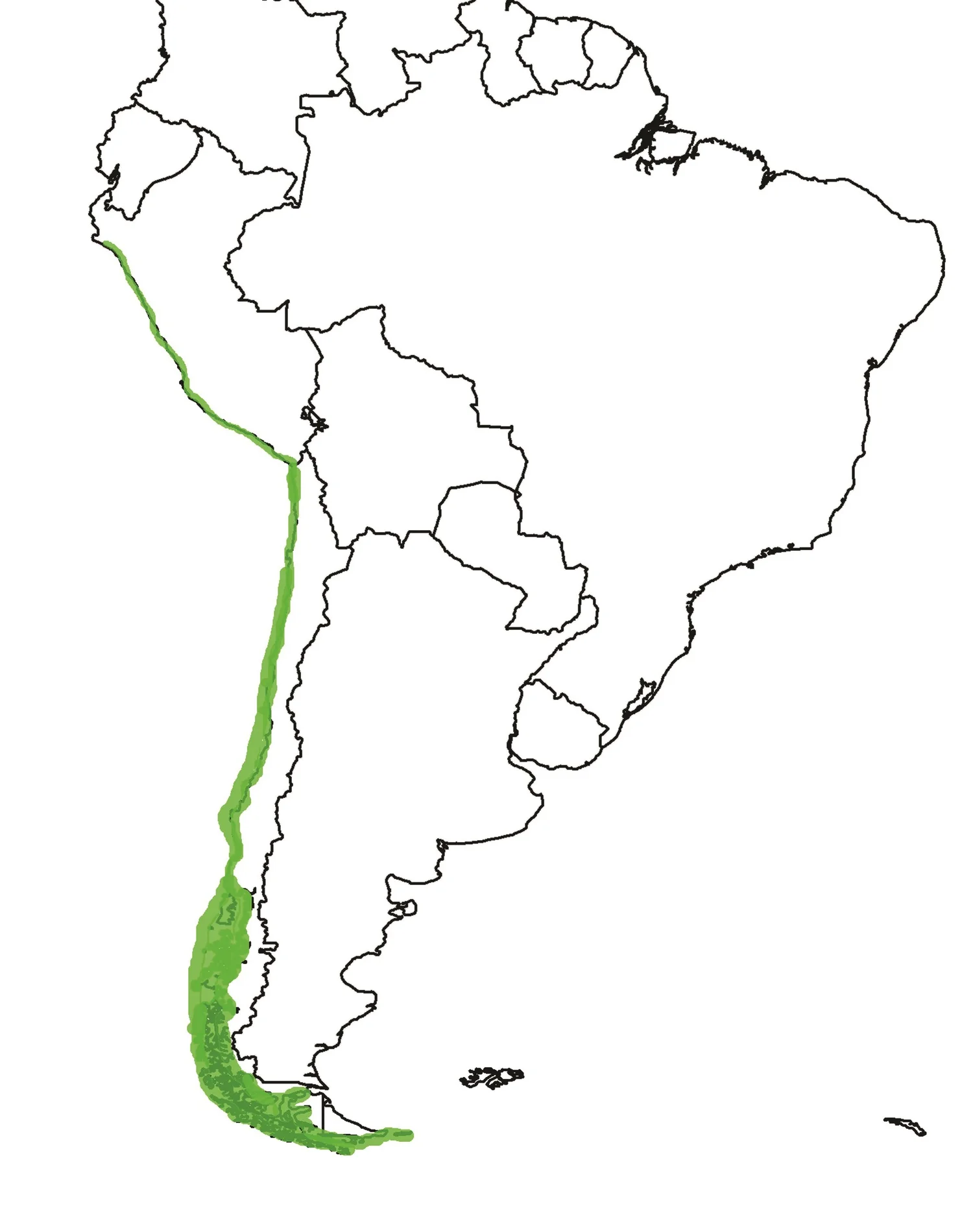 Marine Otter — International Otter Survival Fund