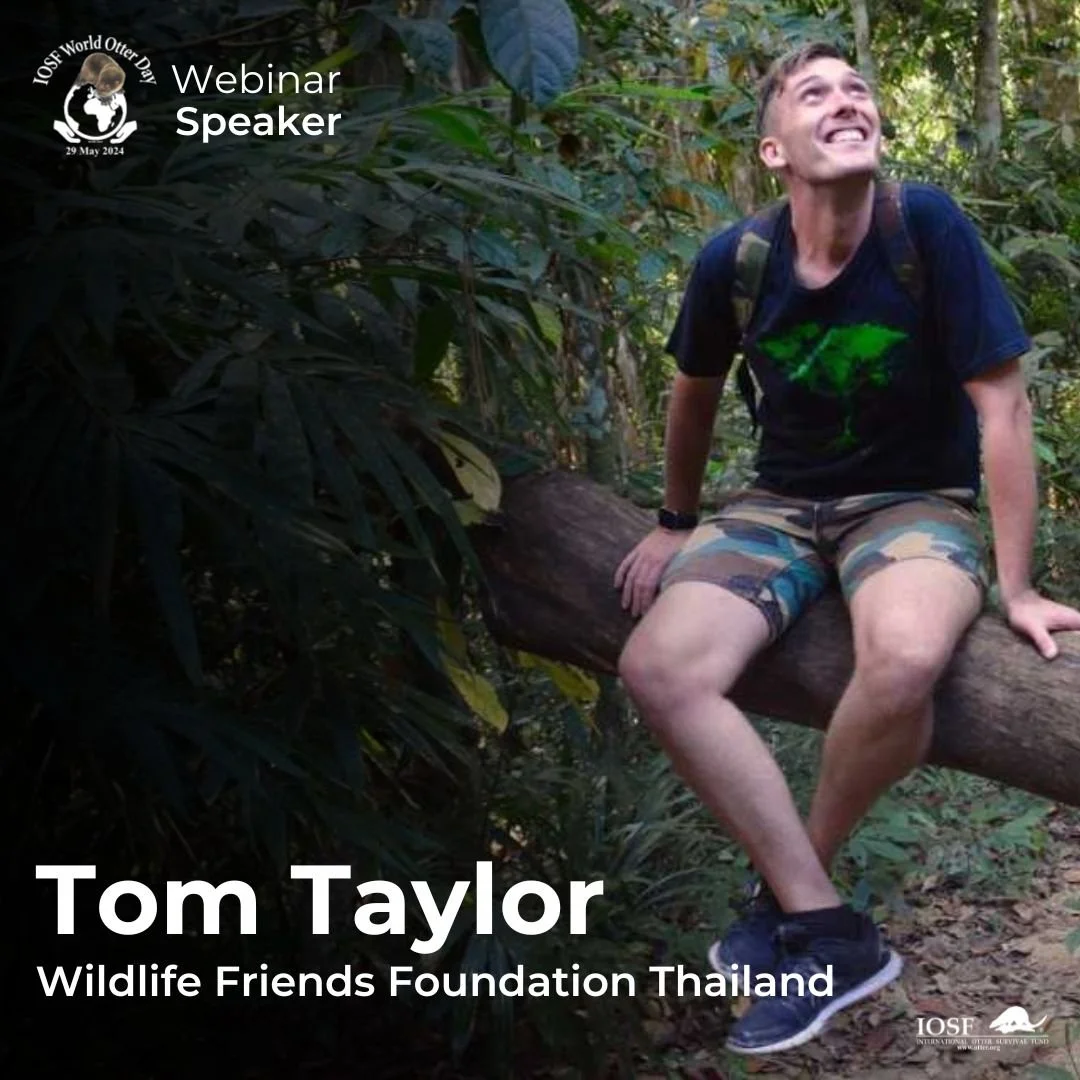 Our Work - World Otter Day — International Otter Survival Fund