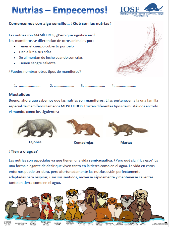 Education Pack - Spanish Cover.PNG