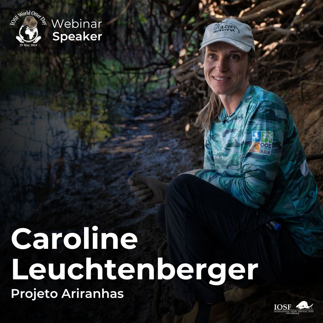 Our Work - World Otter Day — International Otter Survival Fund