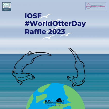 Our work - World Otter Day — IOSF