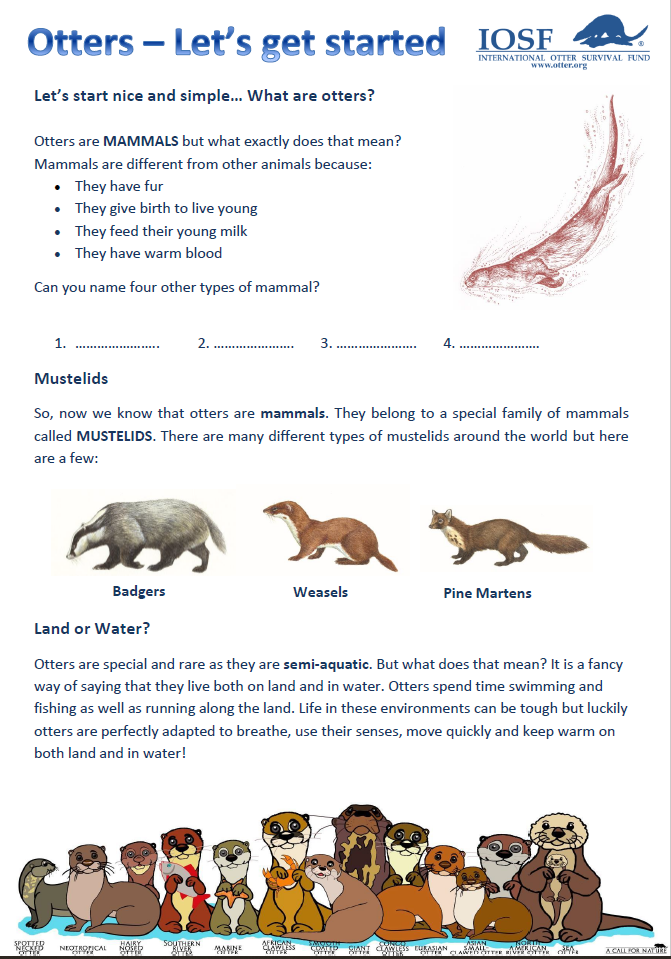 Education Pack - English Cover.PNG